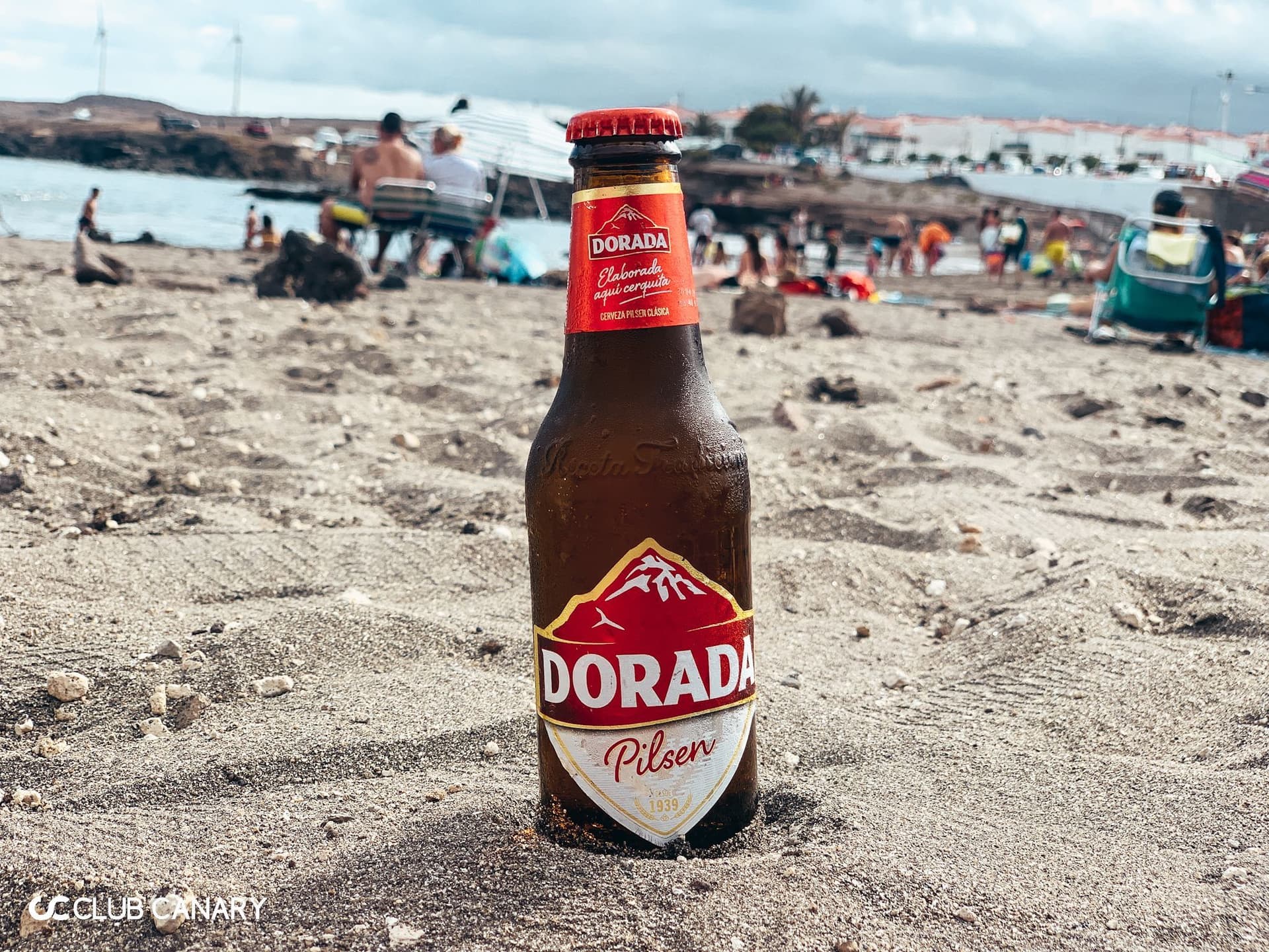 Beer Festivals in Tenerife – A Celebration of Craftsmanship and Culture