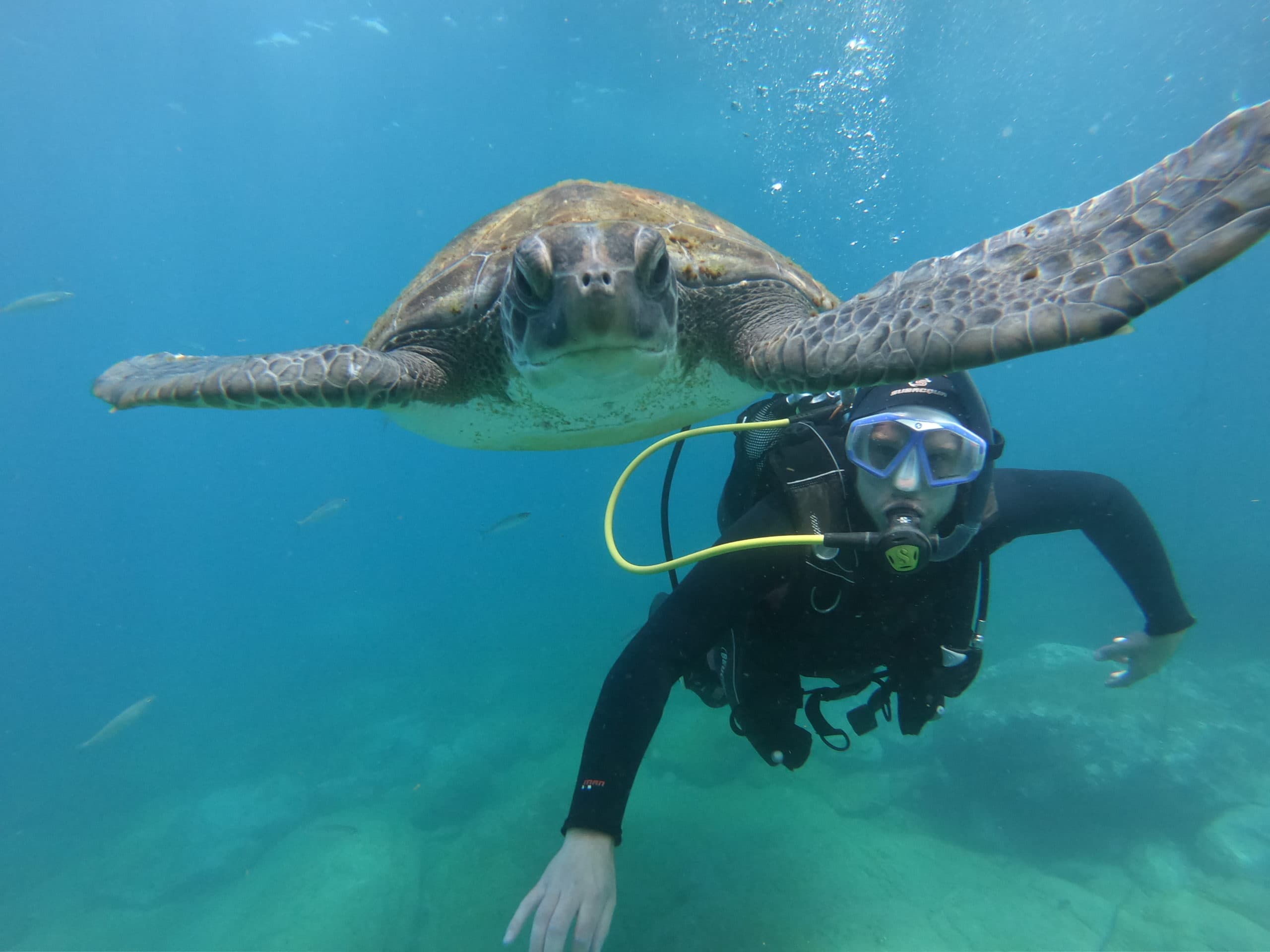Atlantic Ocean Around Tenerife - deep inside