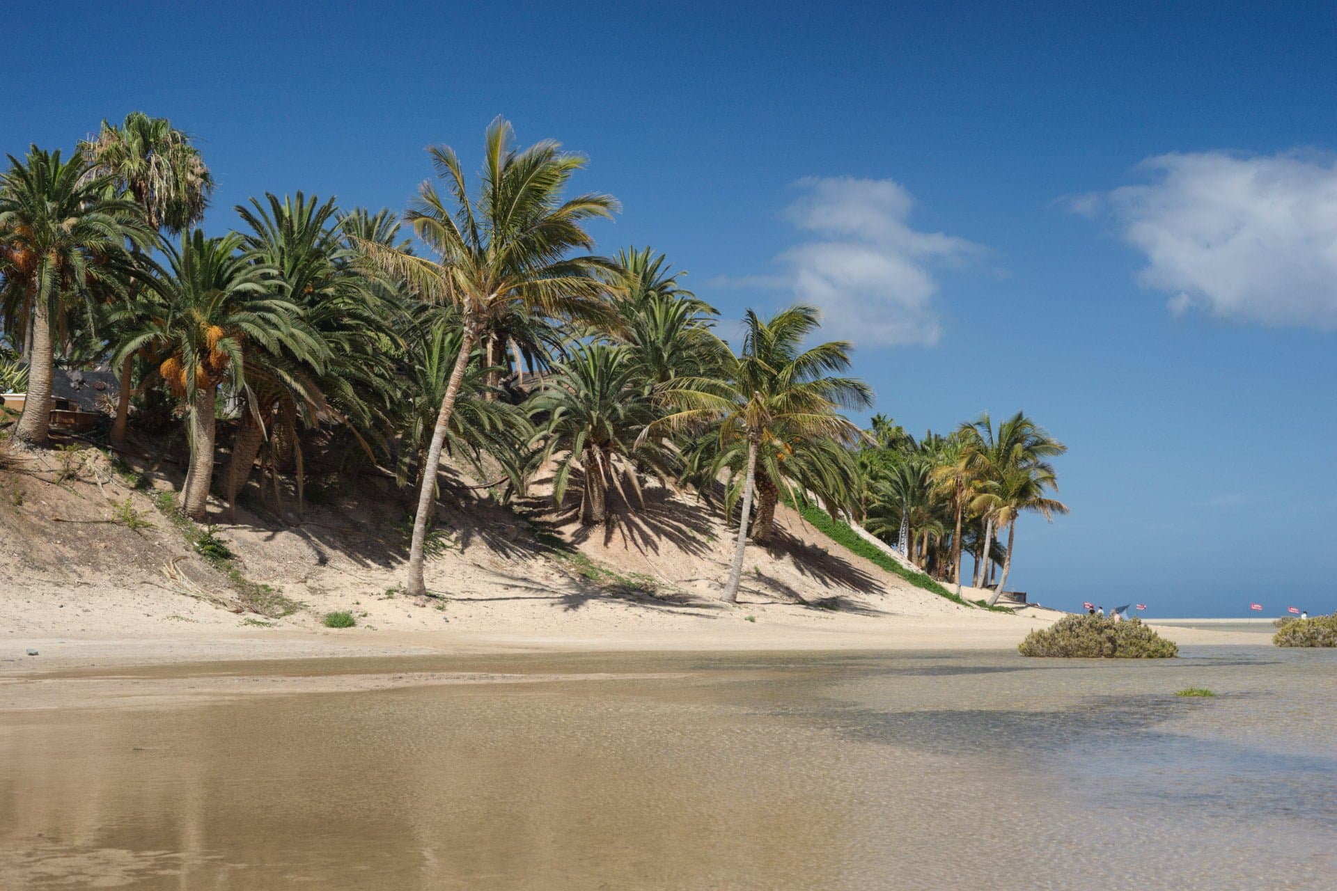 Beach Hopping and Sunbathing – Endless Shores of Fuerteventura