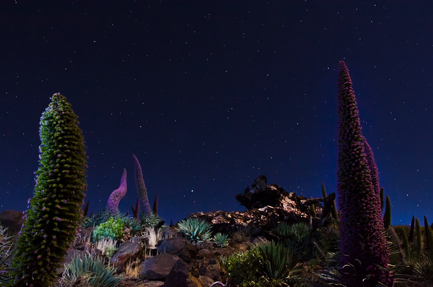 Festival Internacional de Astrofotografía AstroLaPalma – Where Science Meets Art Under the Stars