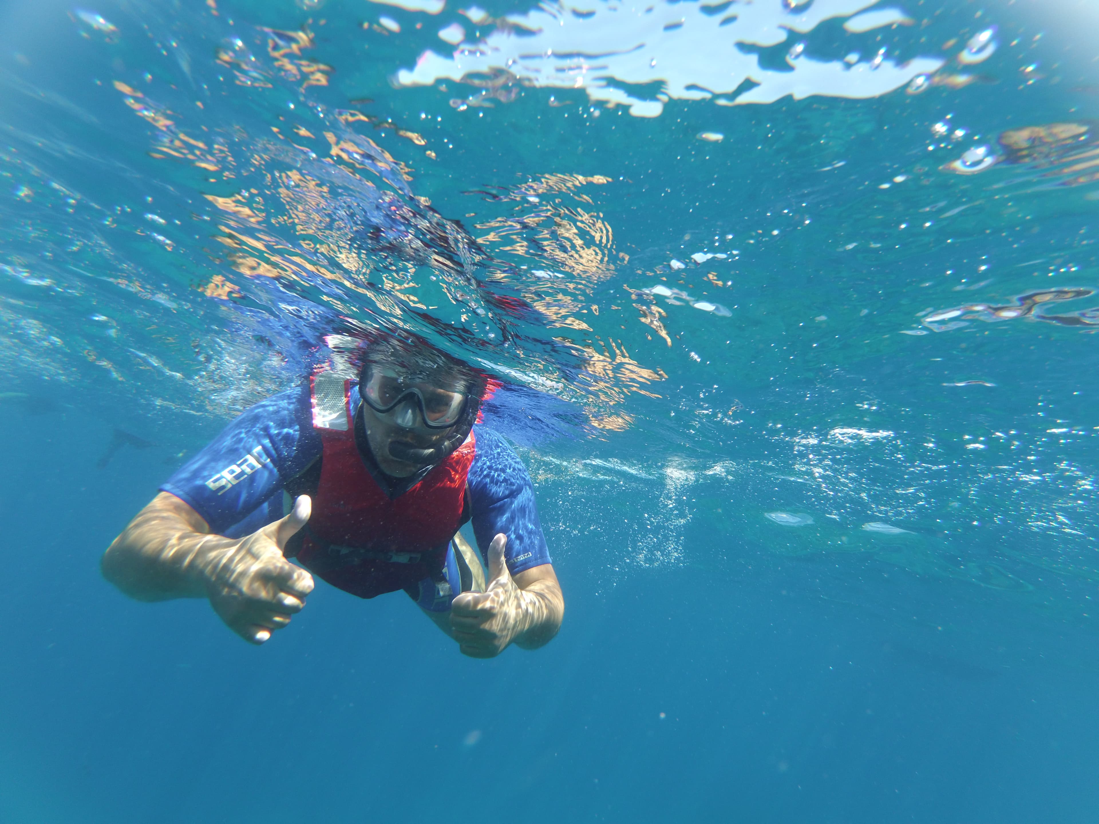 Snorkeling by the boat Costa Adeje/Las Americas/Los Cristianos/Costa del Silencio/Las Galletas/Palm Mar