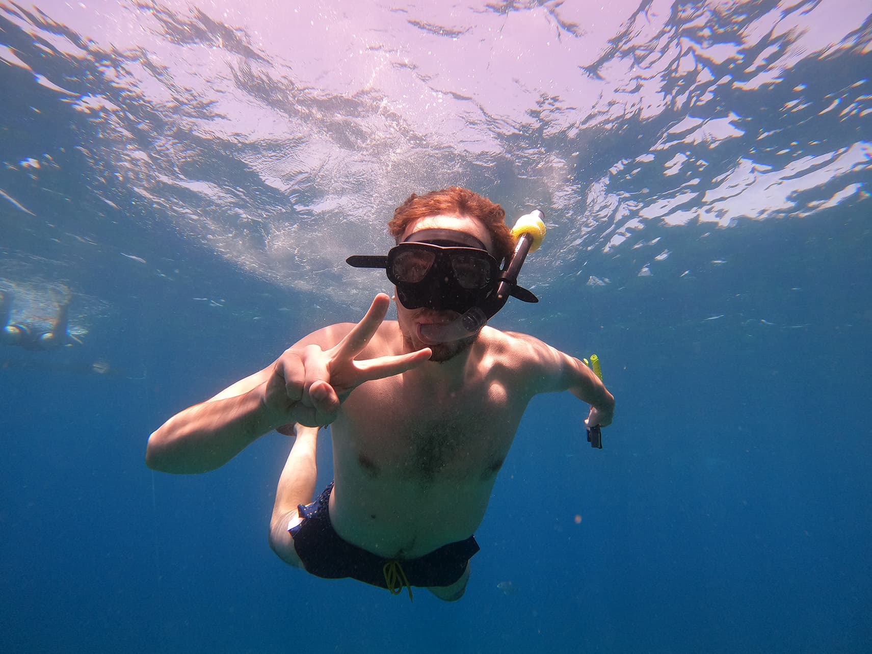 Snorkeling on a lava reef Costa Adeje/Las Americas/Los Cristianos/Costa del Silencio/Las Galletas/Palm Mar