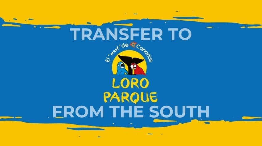 Tenerife: Transfer to Loro Parque from the South